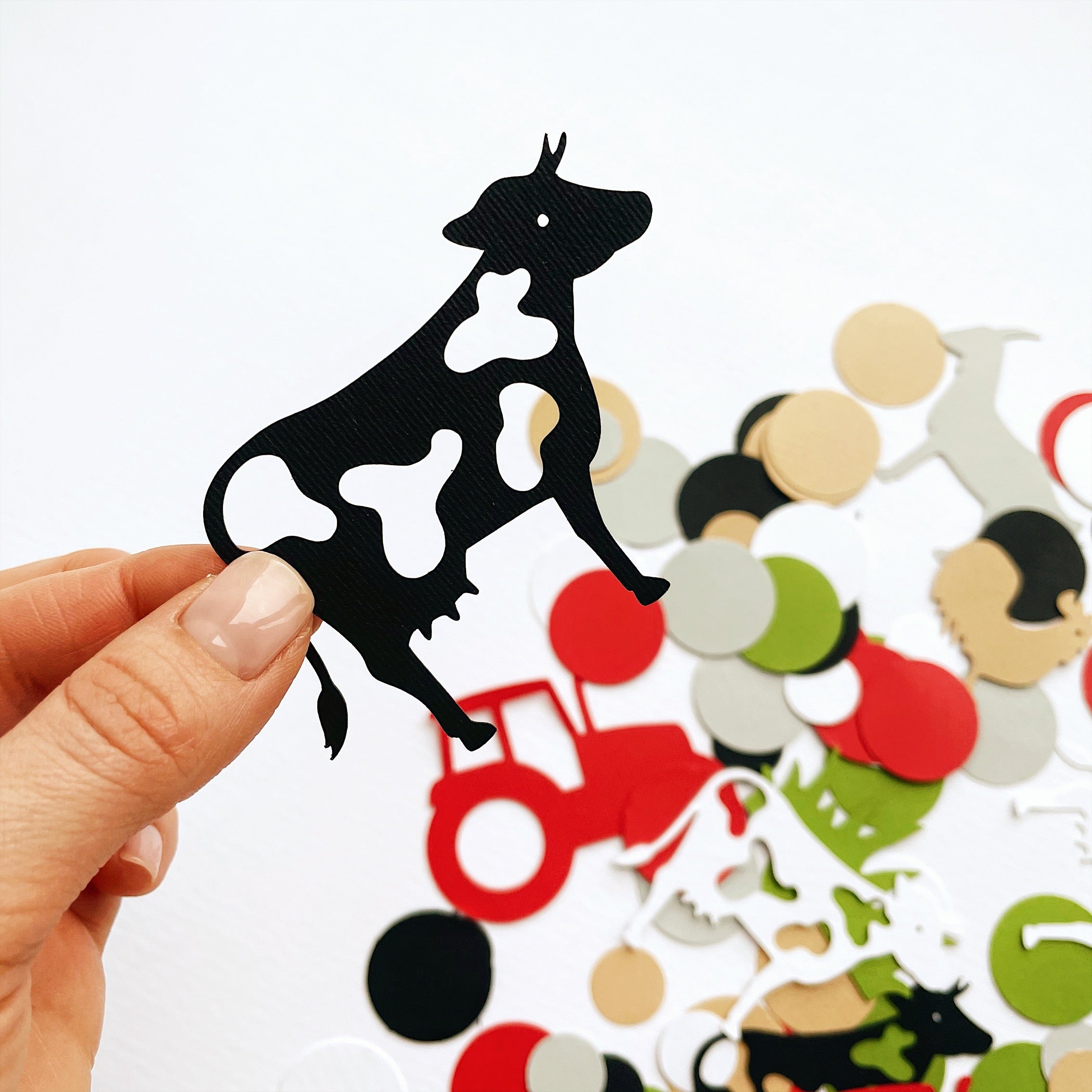 Farm Confetti arn Themed Boy 1st Birthday Farm First Birthday Party