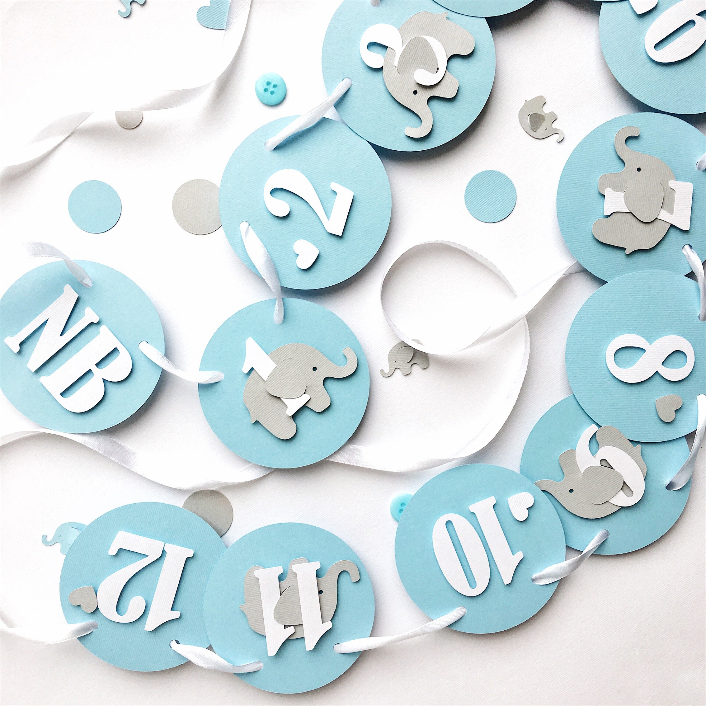 Elephant 12 Month Photo Banner Blue Elephant 1st Birthday Decorations