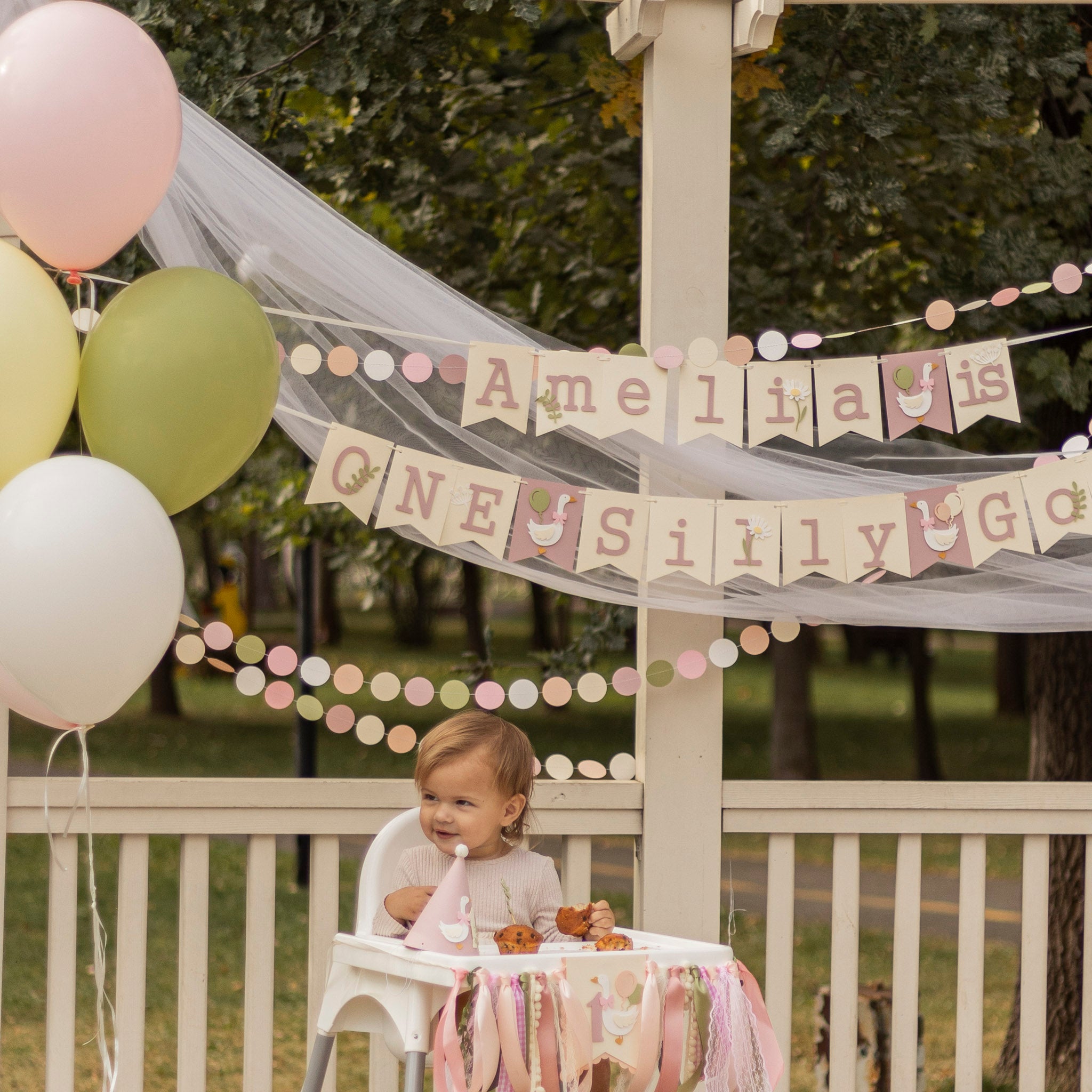 Birthday party with balloons and a banner reading ONE Silly Goose outdoors