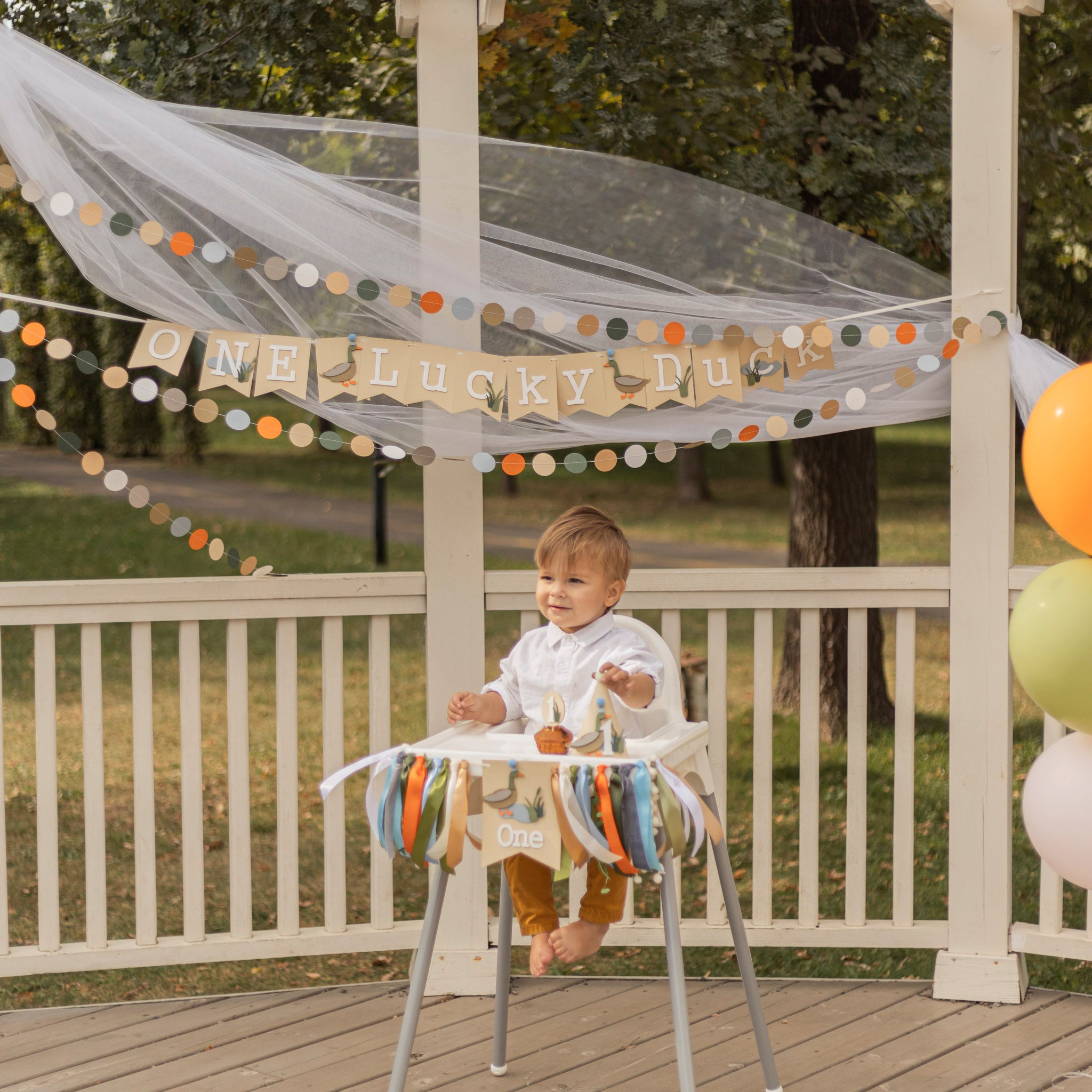 One Lucky Duck 1st Birthday Party Supplies and Decorations. One Highcahir Banner. Party hat