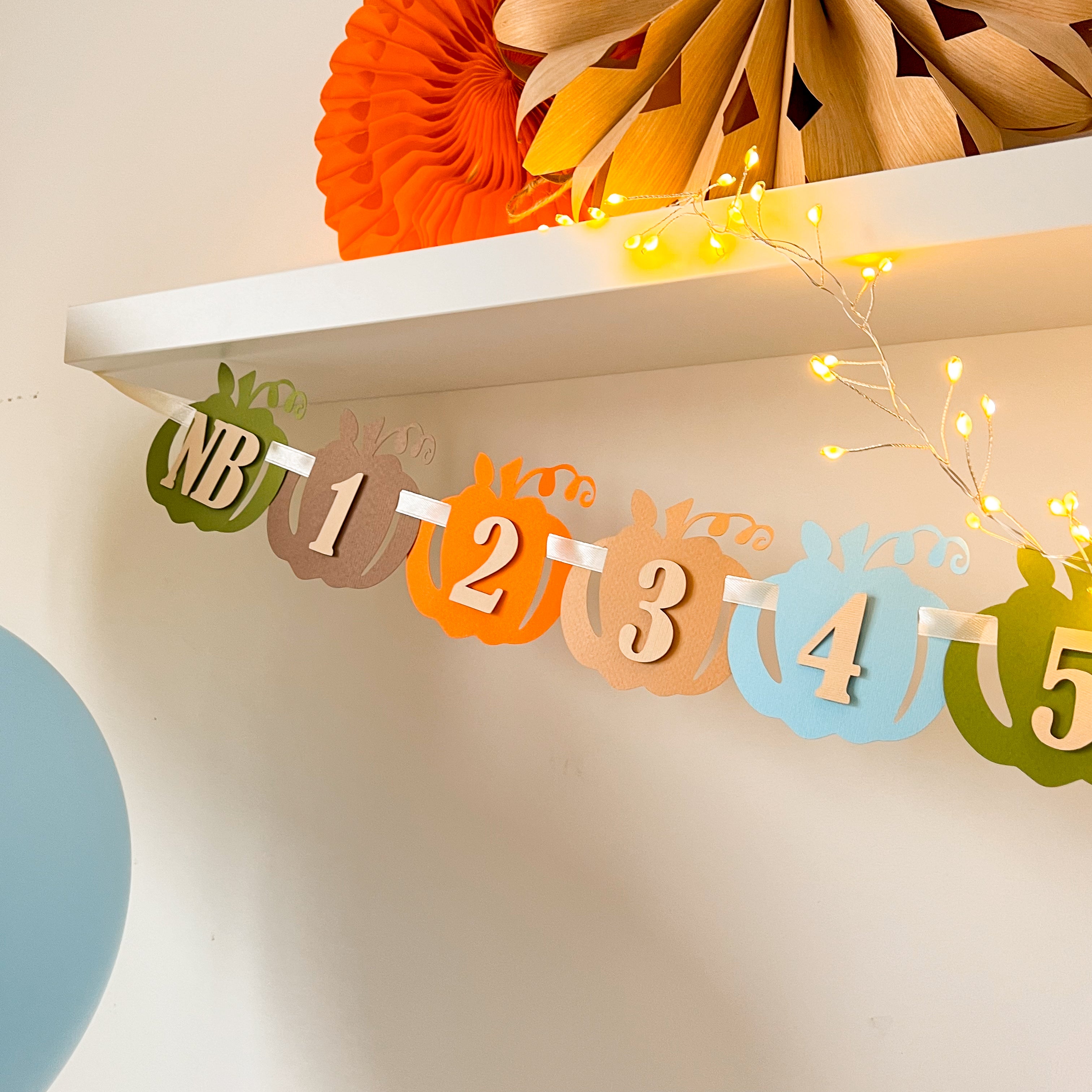 Boy Little Pumpkin 12 Month Photo Banner Fall First Boy Birthday