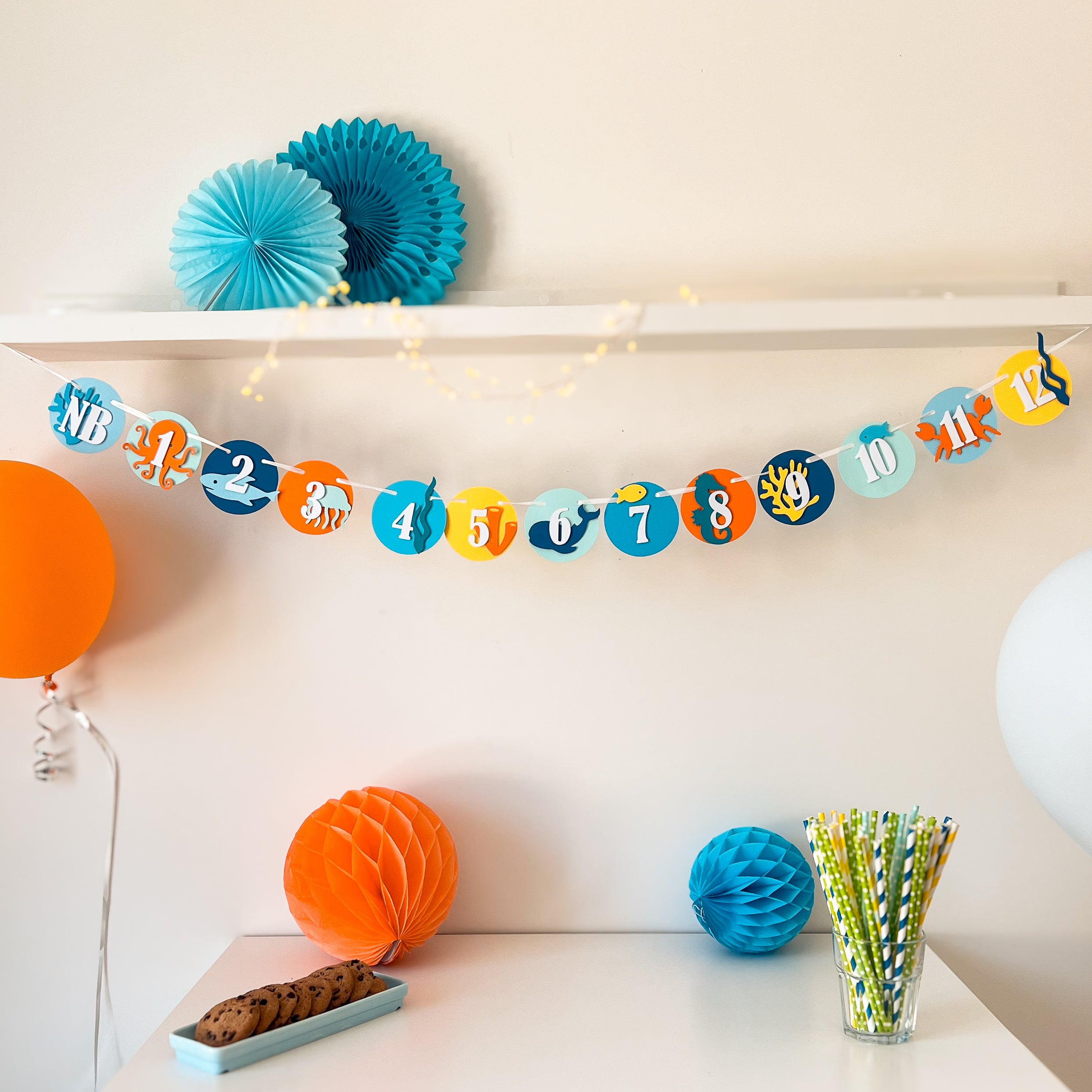 Under the Sea 12 Month Photo Banner Ocean Animals 1st Birthday