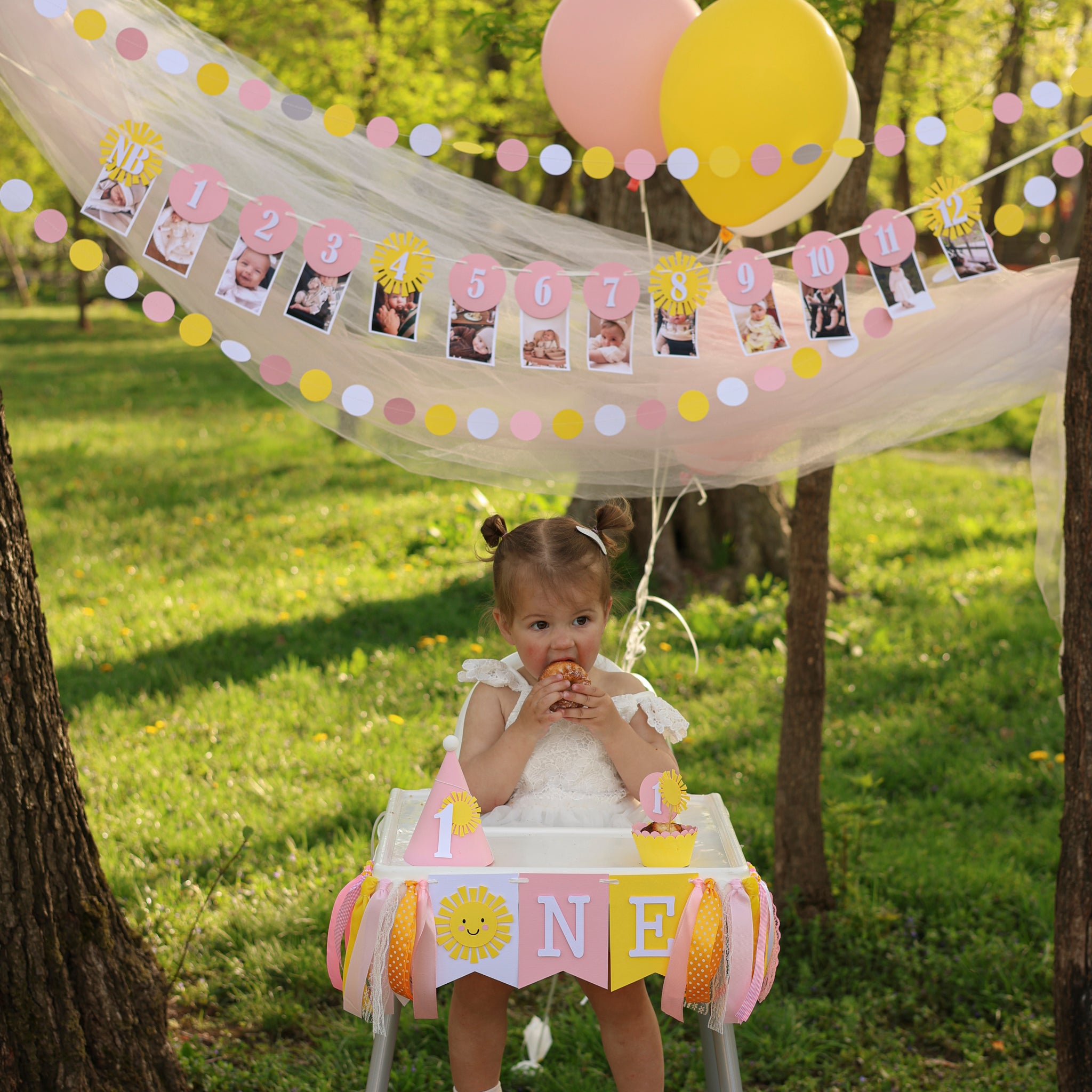Sun Photo Banner, Our Little Sunshine is Turning One, Milestone Birthday Banner
