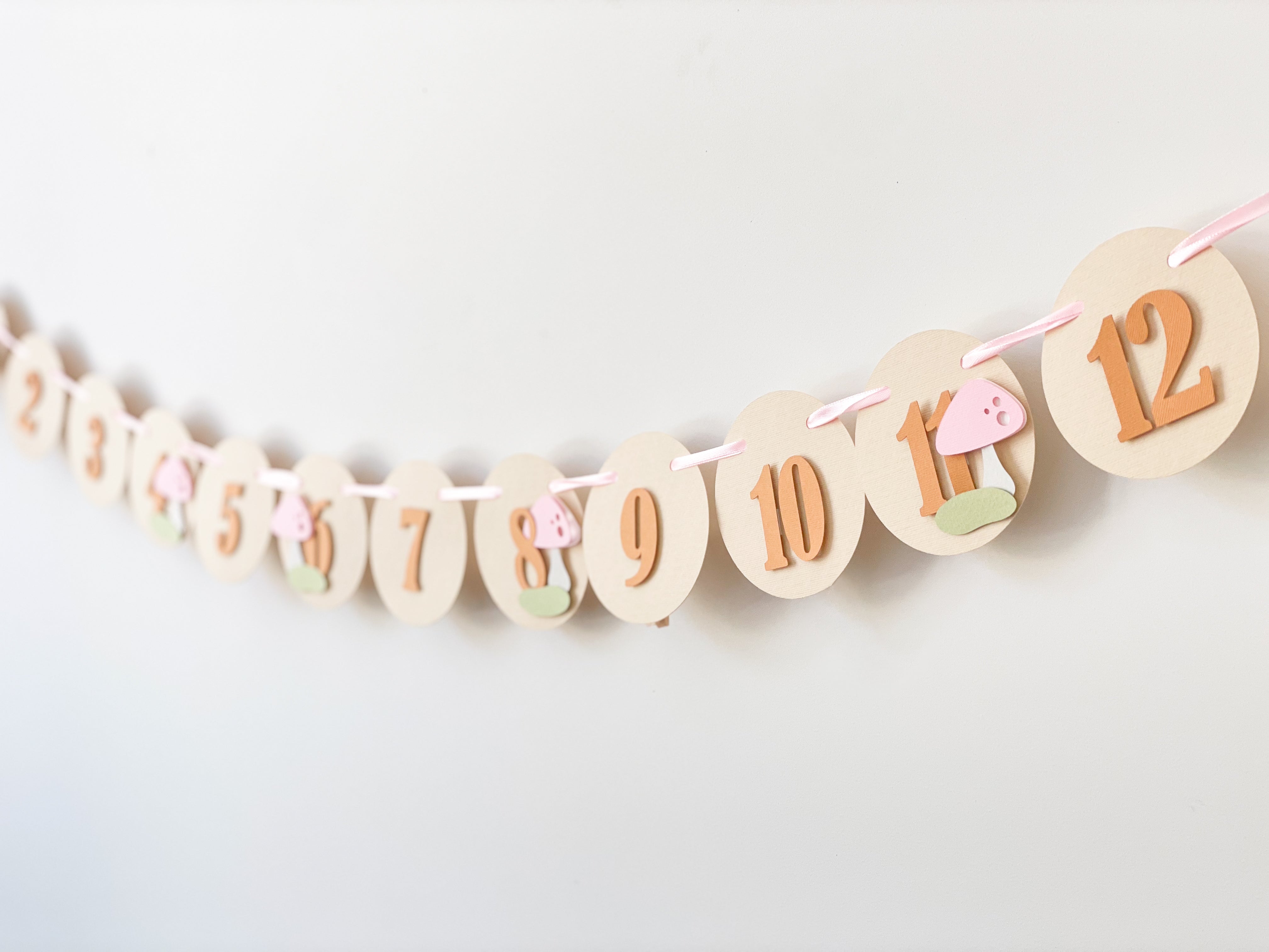 Mushroom First Birthday Monthly Photo Banner Toadstool 1st Birthday Decorations Woodland Forest Theme Decor Fairy Garden Birthday Party