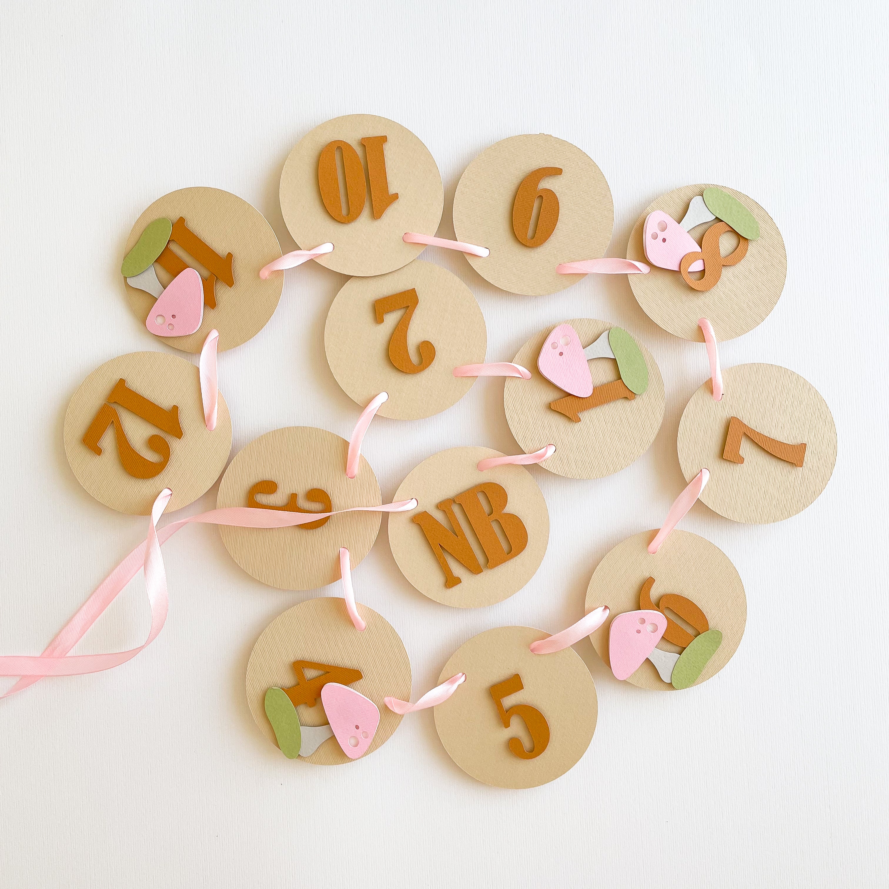 Mushroom First Birthday Monthly Photo Banner Toadstool 1st Birthday Decorations Woodland Forest Theme Decor Fairy Garden Birthday Party