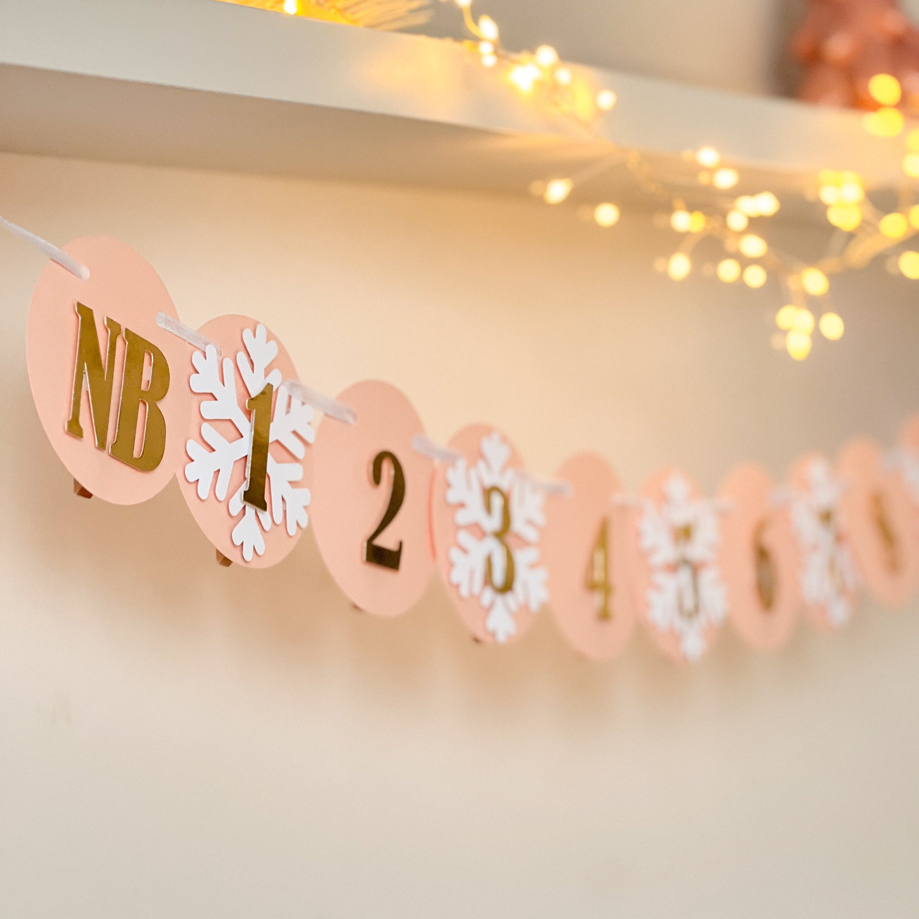 Winter OnederlaWinter Onederland 12 Month Photo Banner Snowflake Girl 1st Birthday Decorations Photo by Month 1st Year Banner One to 12 Months Banner
