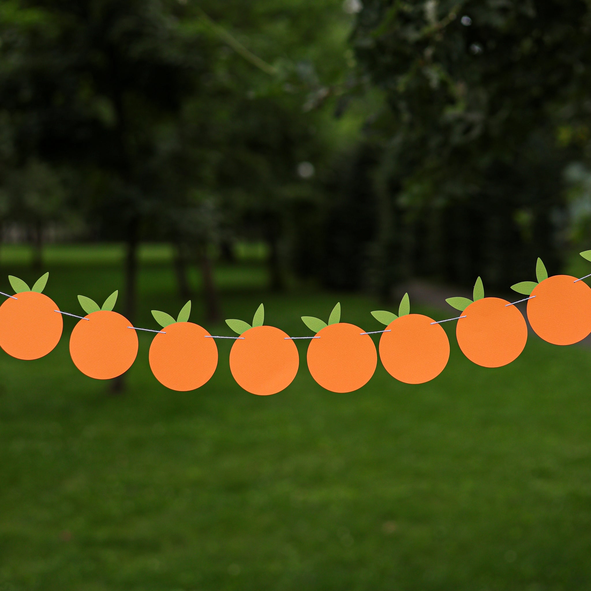 Little Cutie themed orange fruit garland for a birthday or baby shower, hanging outdoors