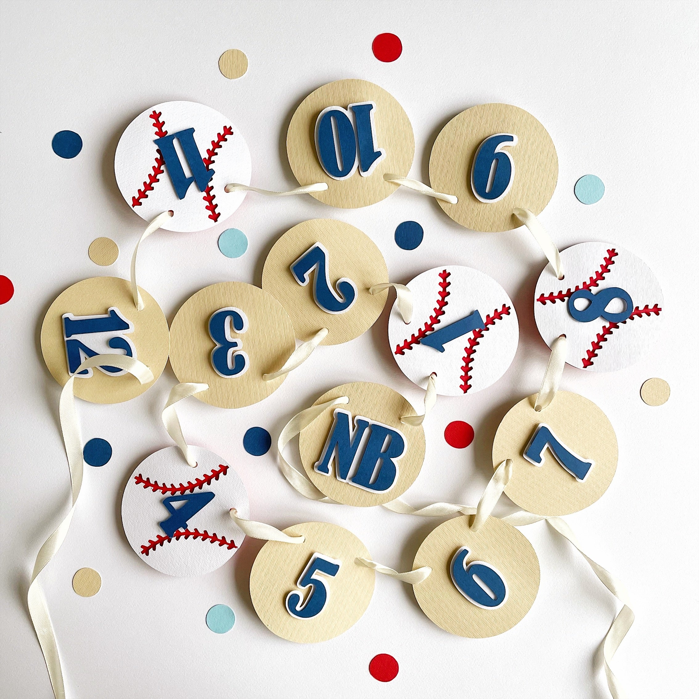 Baseball 12 Month Photo Banner Baseball Birthday Decorations Rookie of the Year themed Baseball Sports Party