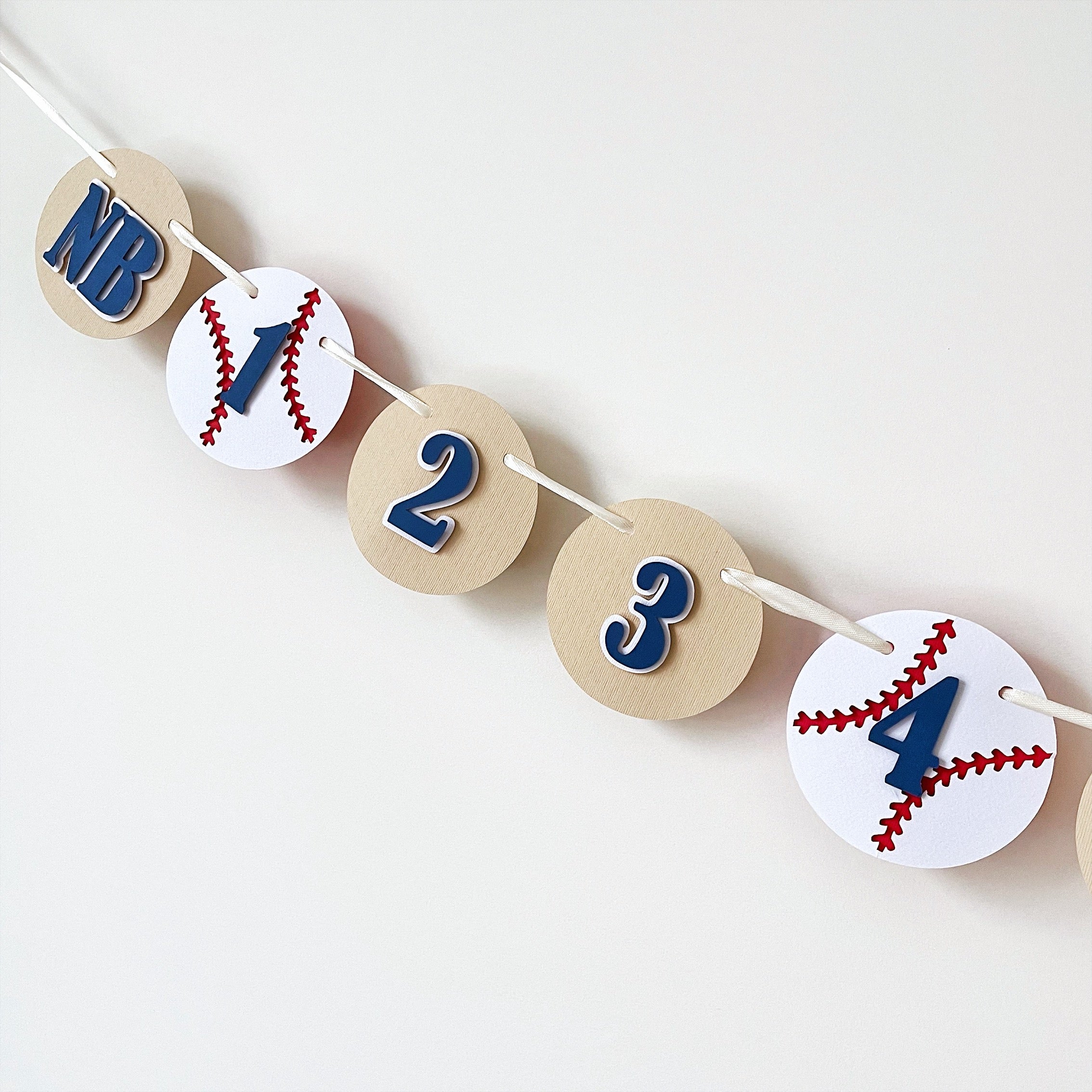 Baseball 12 Month Photo Banner Baseball Birthday Decorations Rookie of the Year themed Baseball Sports Party