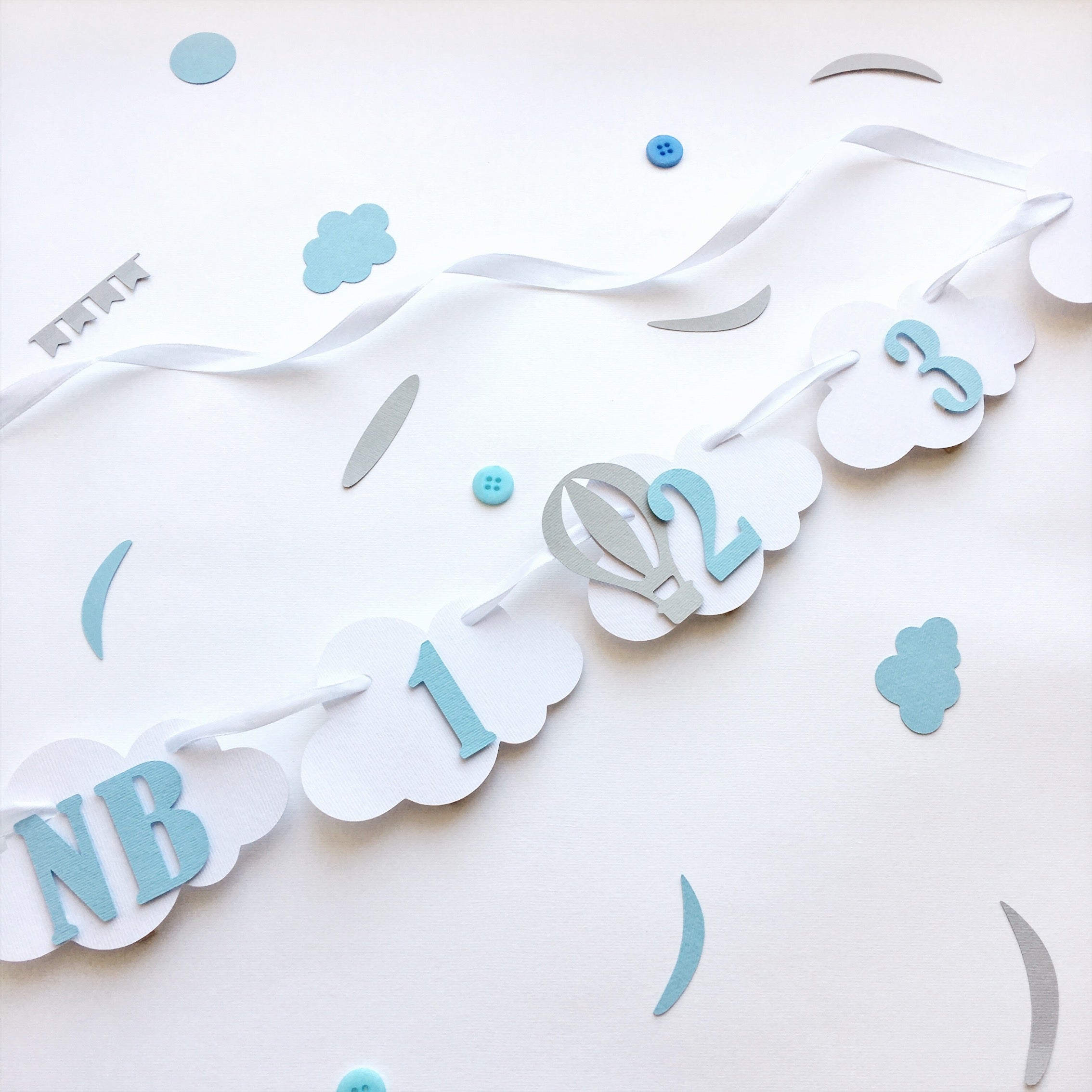Hot Air Balloon 12 Month Photo Banner
