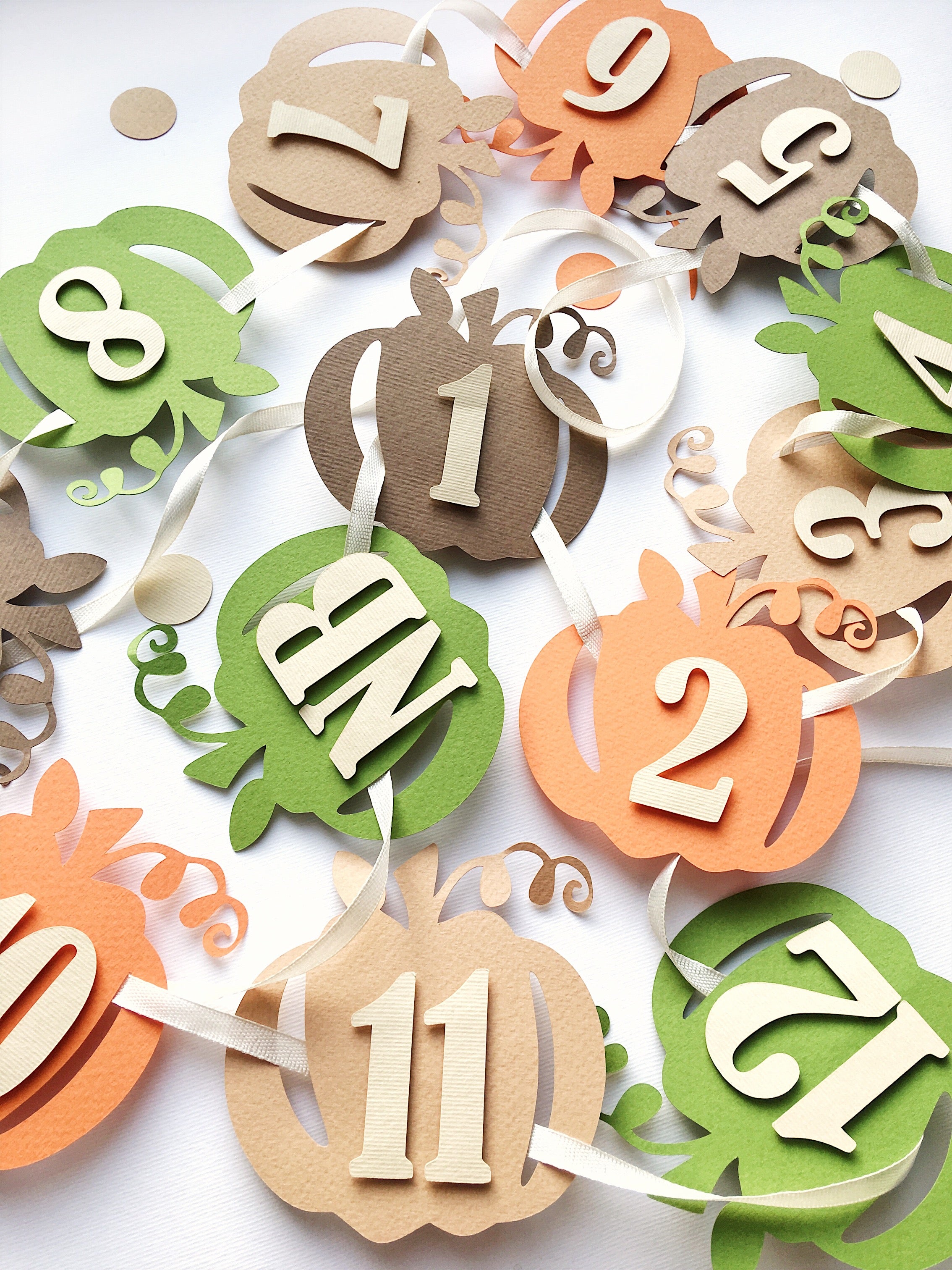 Boy Little Pumpkin 12 Month Photo Banner Fall First Boy Birthday