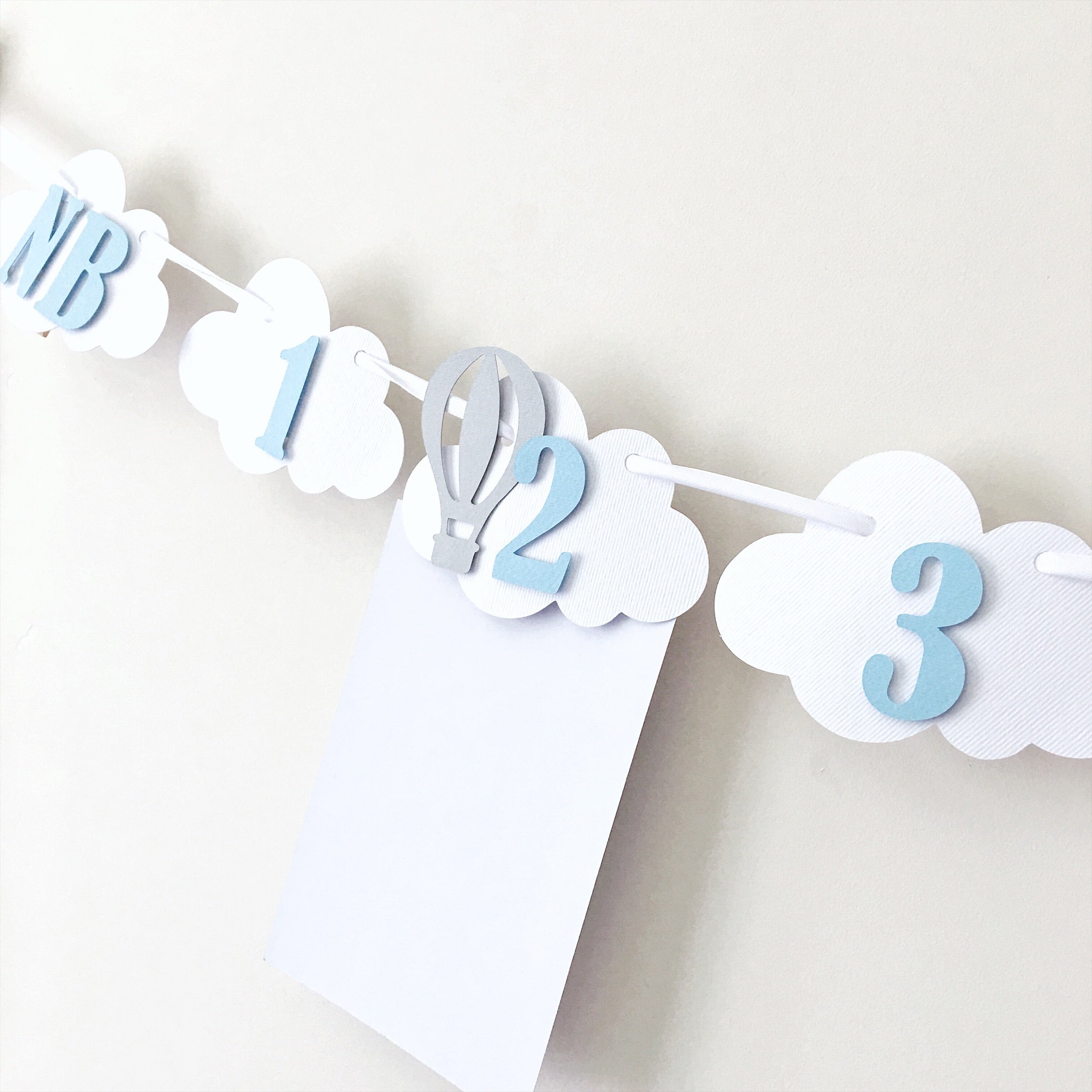 Hot Air Balloon 12 Month Photo Banner