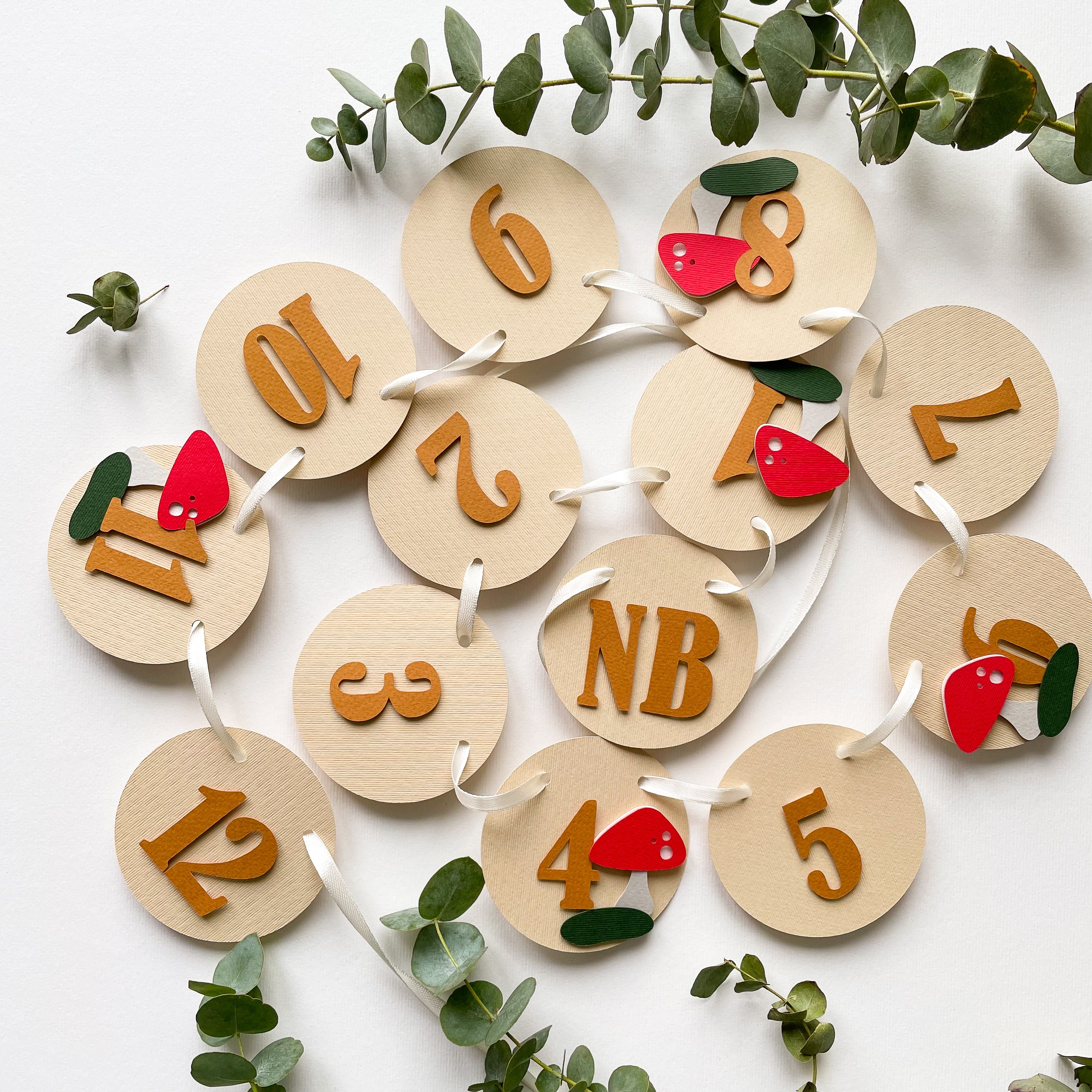 Mushroom First Birthday Monthly Photo Banner Toadstool 1st Birthday Decorations Woodland Forest Theme Decor Fairy Garden Birthday Party