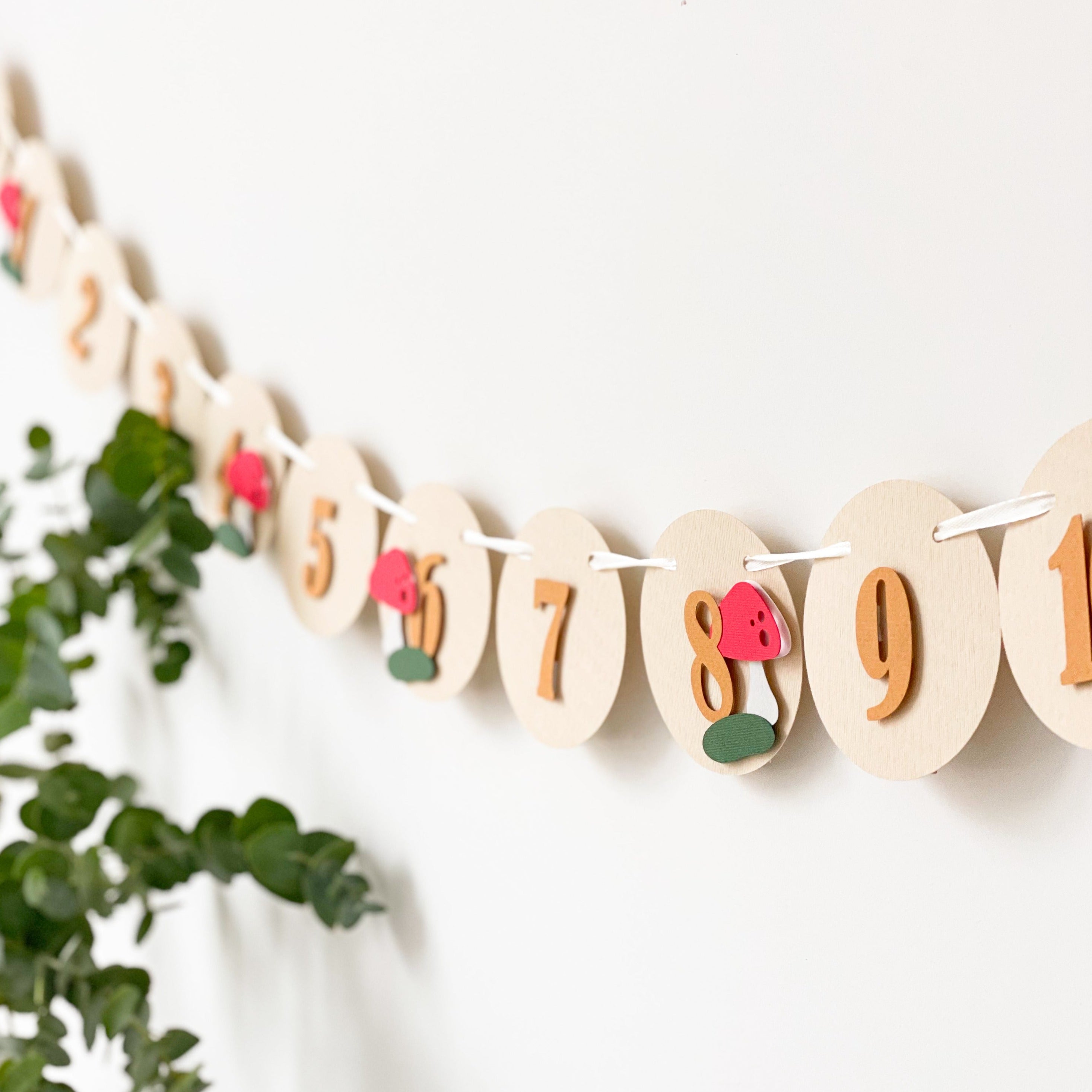 Mushroom First Birthday Monthly Photo Banner Toadstool 1st Birthday Decorations Woodland Forest Theme Decor Fairy Garden Birthday Party
