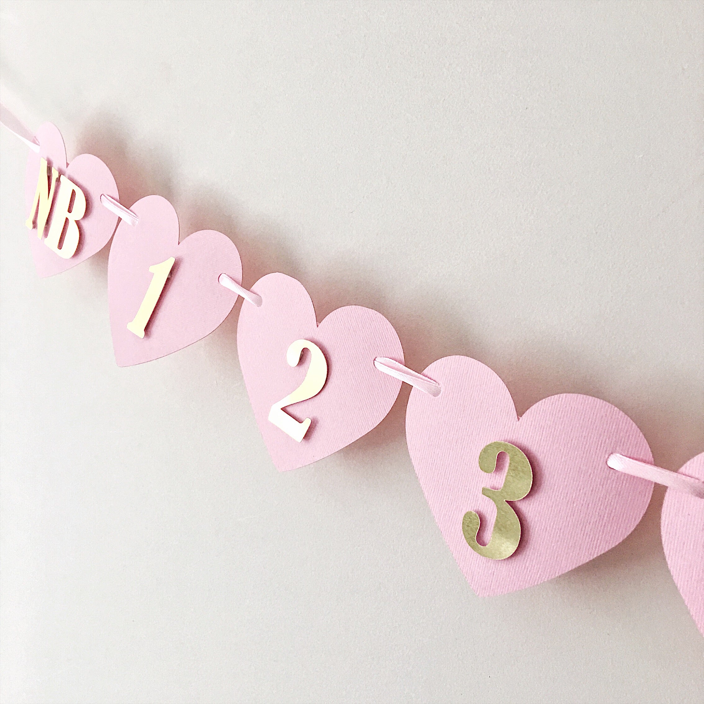 12 Month Milestone Banner Pink Birthday