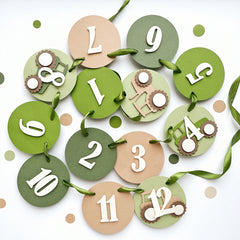 Tractor 12 Month Photo Banner  Tractor Farm theme Birthday Tractor 1st Birthday by FunstaCraft 