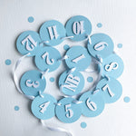 Blue 12 Month Photo Banner Blue Boy 1st Birthday Decorations Monthly Photo Banner