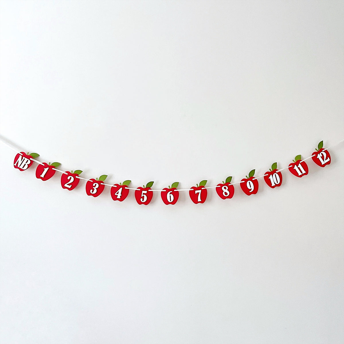 Complete Apple 12 Month Photo Banner strung in a curve, perfect for a photo backdrop or wall decoration.