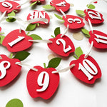 High-angle shot of the complete set of Apple 12 Month Photo Banner cards laid out for a birthday session.