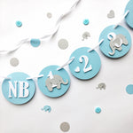 Elephant 12 Month Photo Banner Blue Elephant 1st Birthday Decorations 