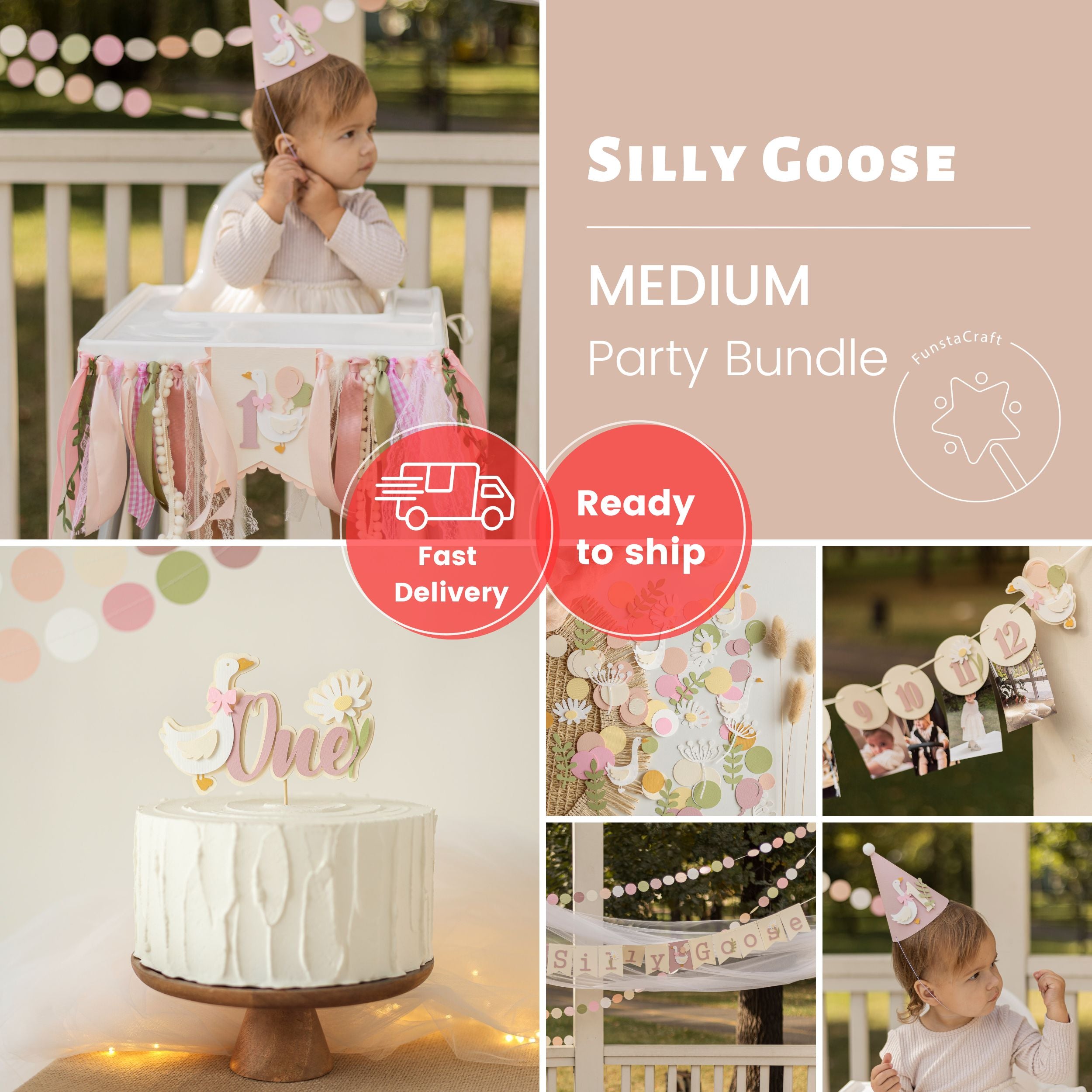One Silly Goose Bundle Vintage Goose Birthday