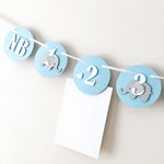 Elephant 12 Month Photo Banner Blue Elephant 1st Birthday Decorations 