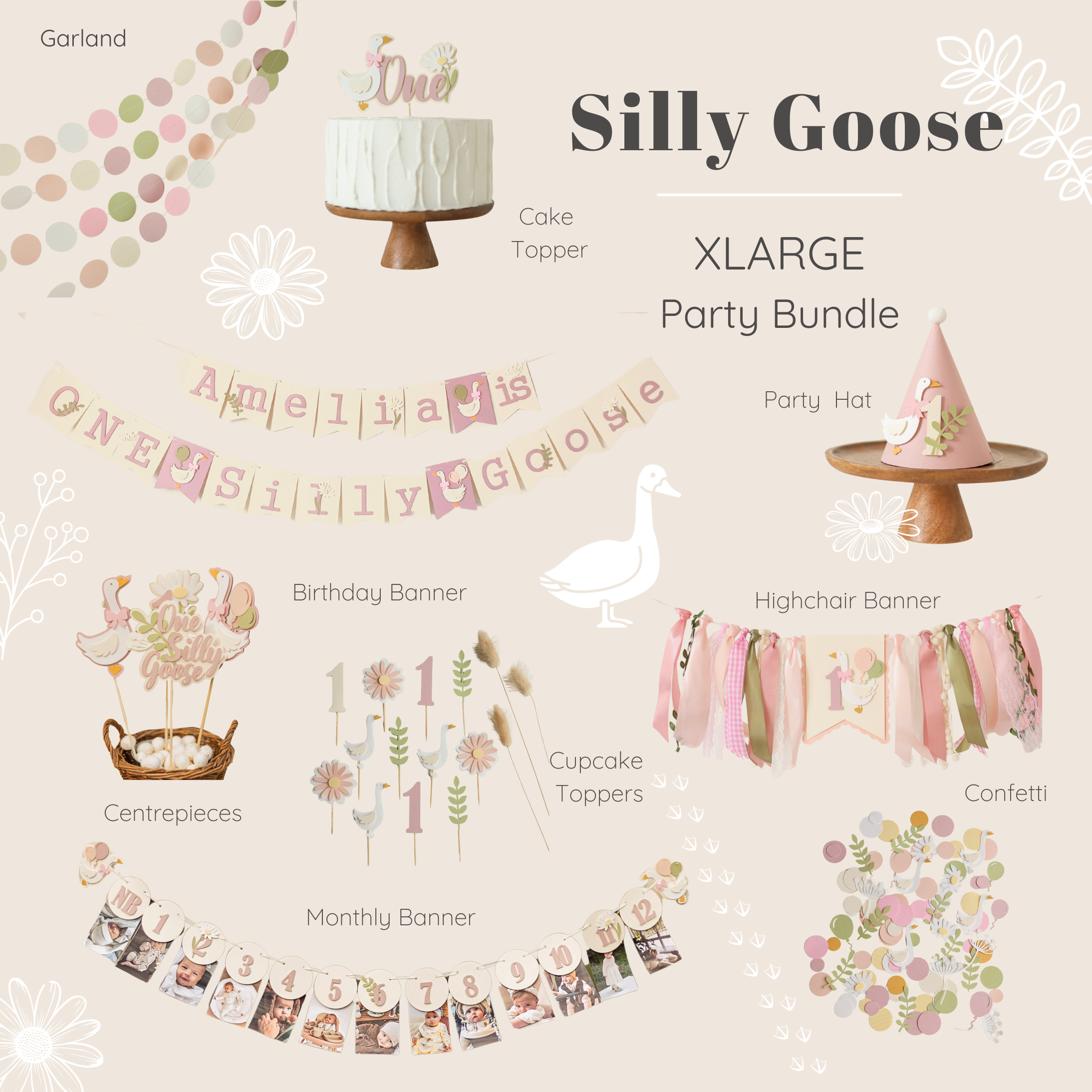 One Silly Goose 1st Birthday Bundle Vintage Goose Birthday