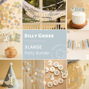 One Silly Goose 1st Boy Birthday Bundle