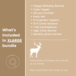 Deer Winter Onederland 1st Birthday Bundle Christmas Birthday party 