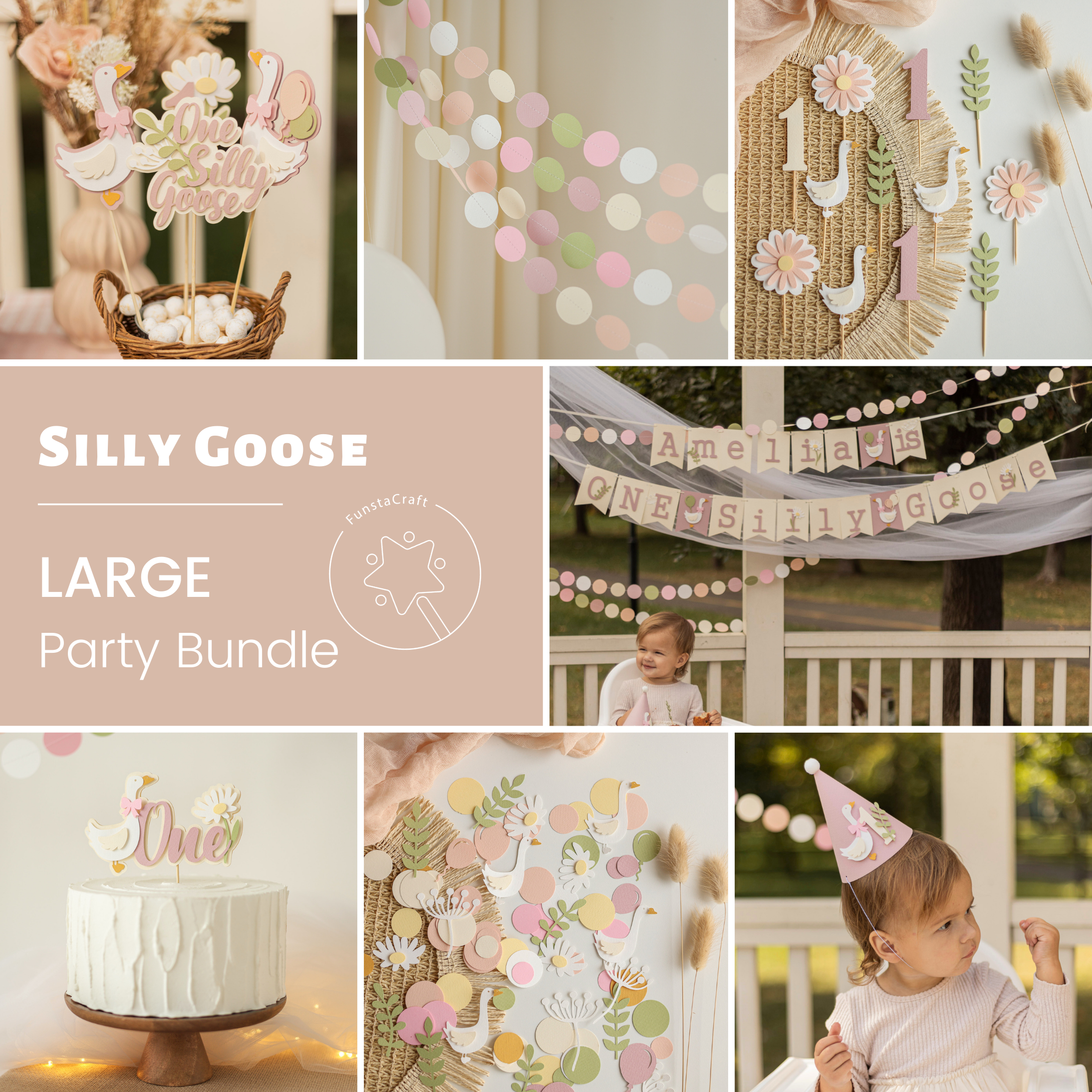 One Silly Goose 1st Birthday Bundle Vintage Goose Birthday