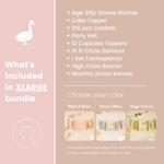 One Silly Goose Bundle Vintage Goose Birthday 