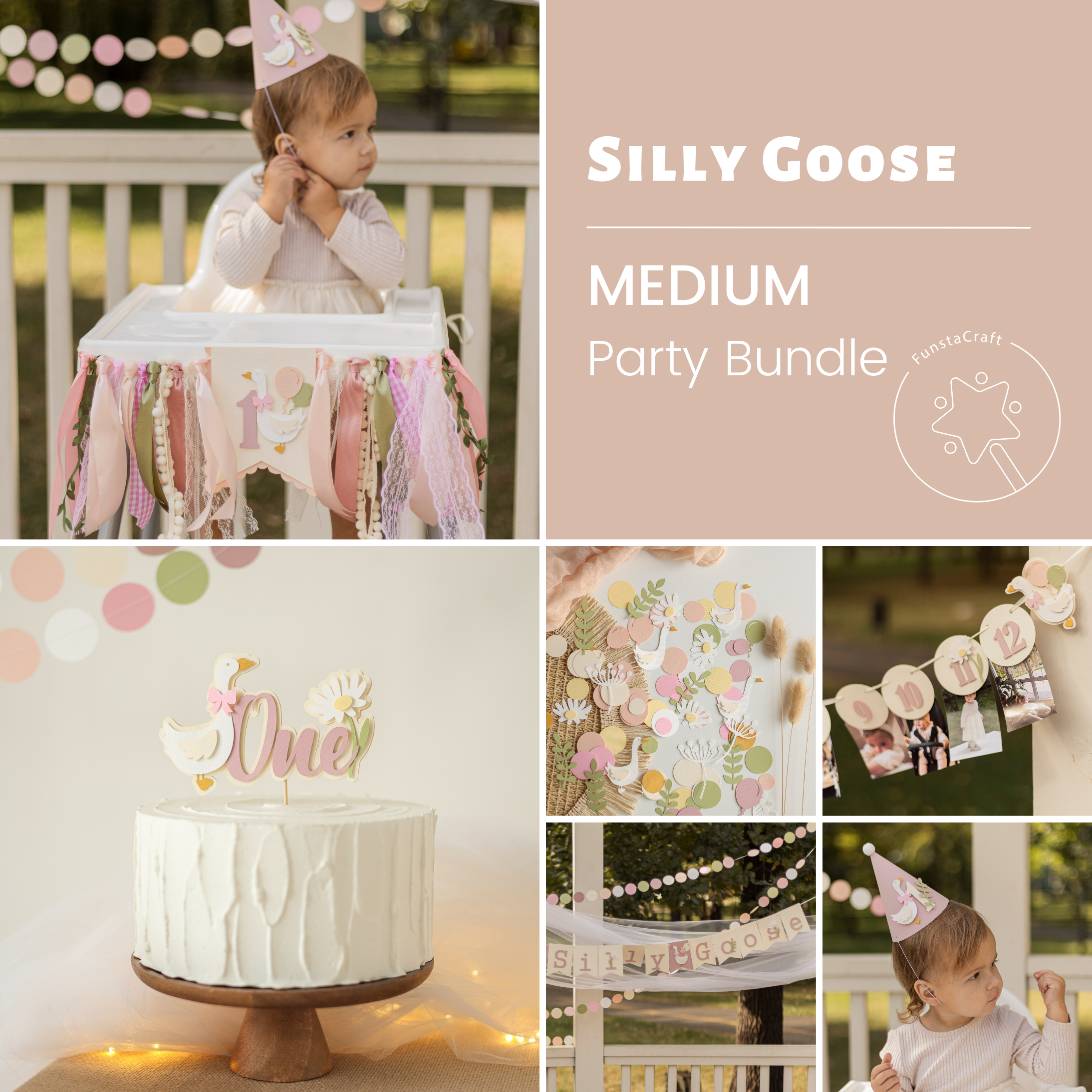 One Silly Goose Bundle Vintage Goose Birthday 