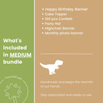 Dino 1st Birthday bundle - Dinosaur Happy Birthday Banner in sage green and terracotta for 1st birthday