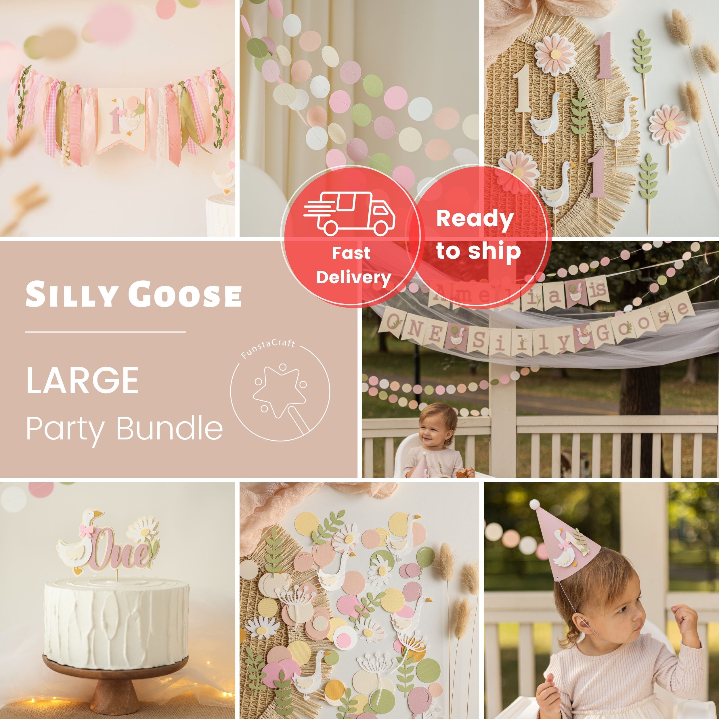 One Silly Goose Bundle Vintage Goose Birthday