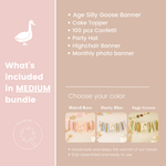 One Silly Goose Bundle Vintage Goose Birthday 