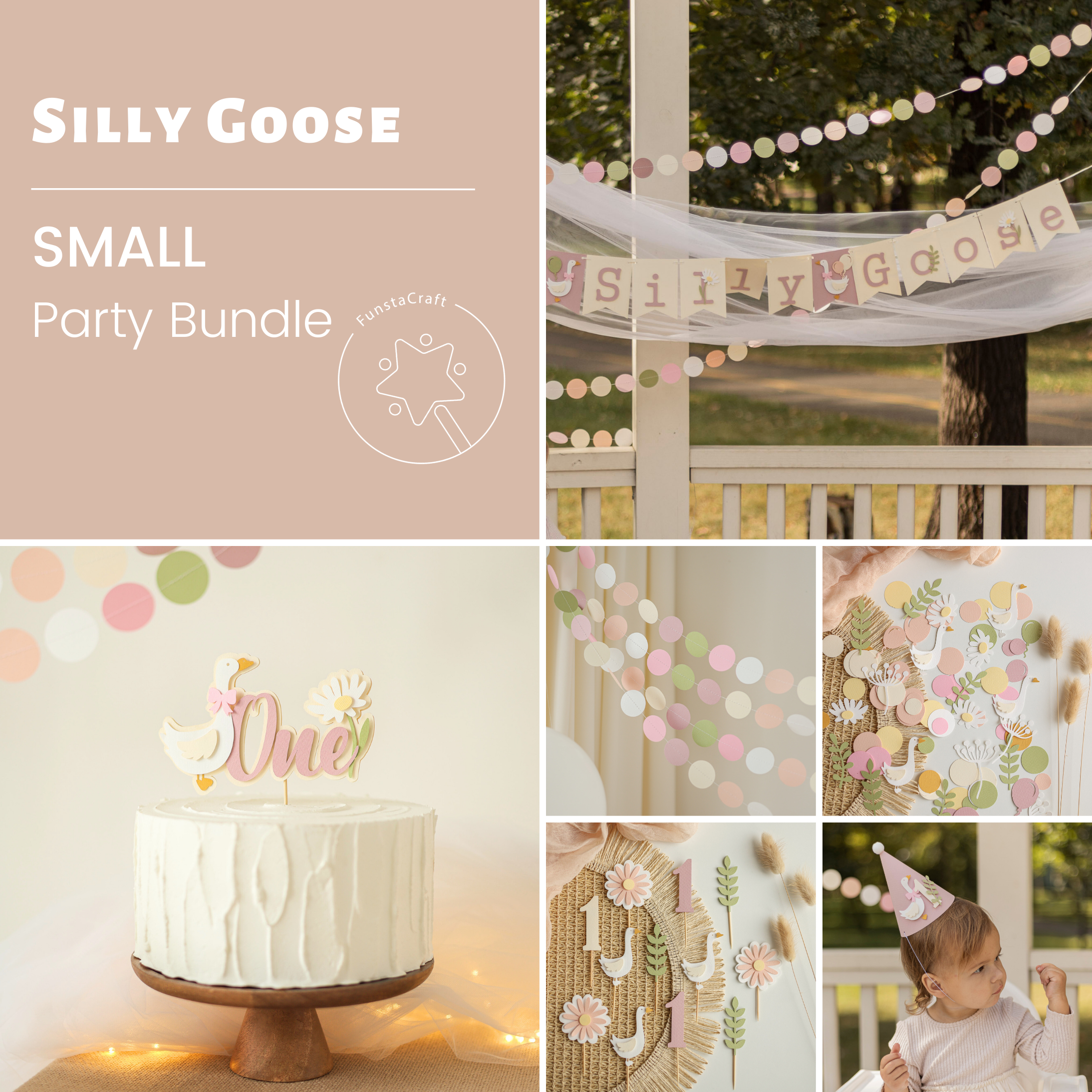 One Silly Goose Bundle Vintage Goose Birthday 