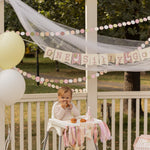 One Silly Goose High Chair Banner, Pink Goose 1st Birthday Decoration