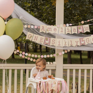 One Silly Goose Banner