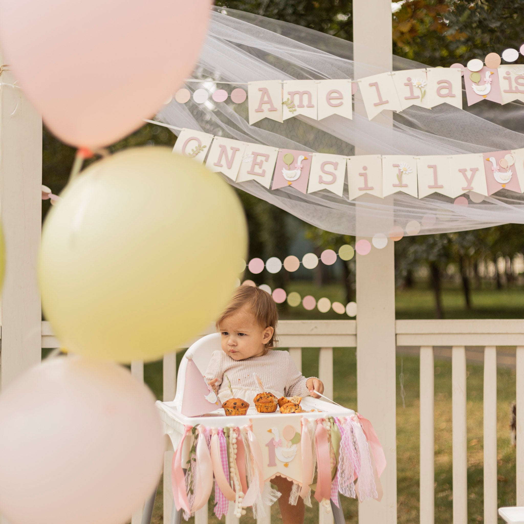 One Silly Goose Banner, Goose 1st Birthday Decor