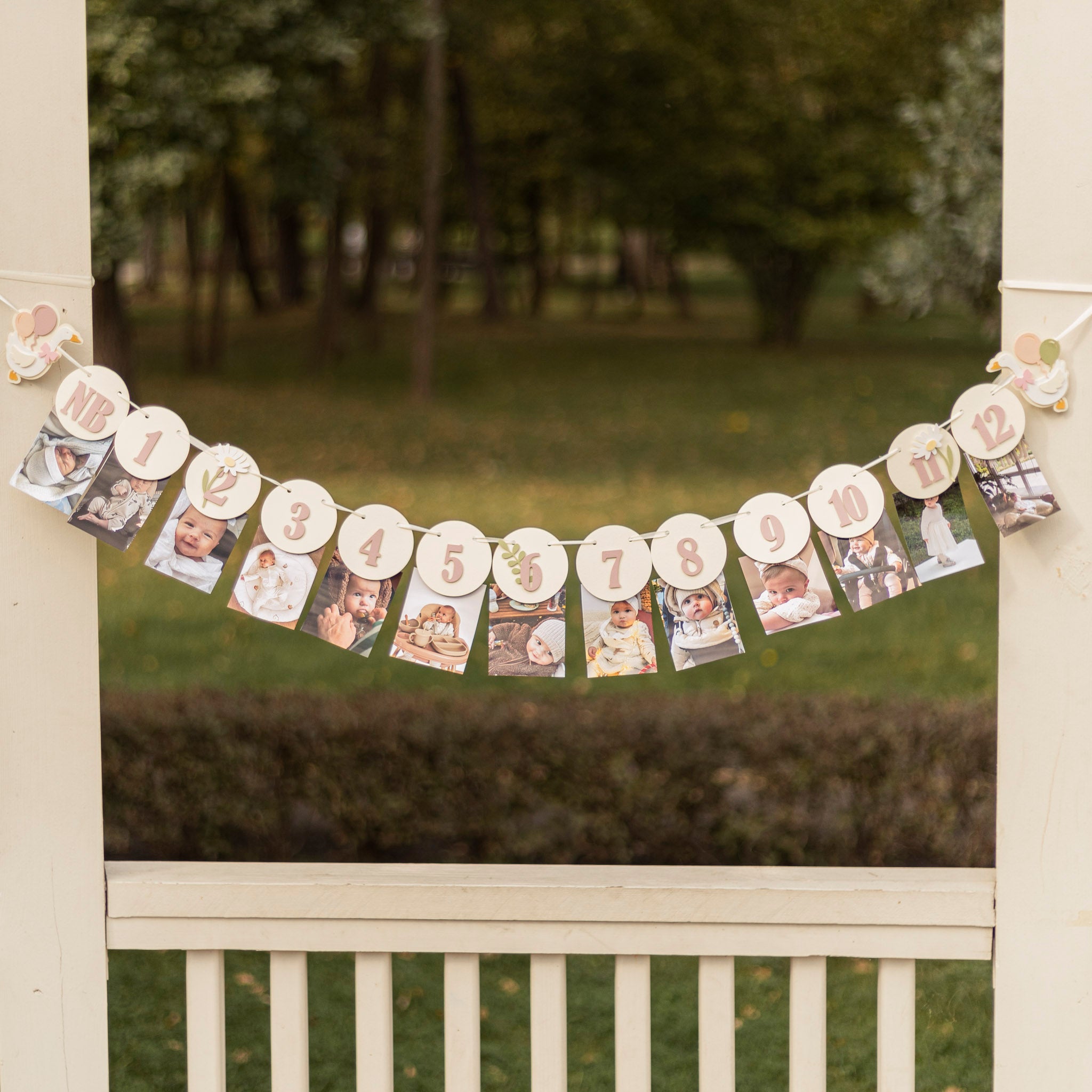 One Silly Goose 12 Month Banner Vintage Goose Birthday