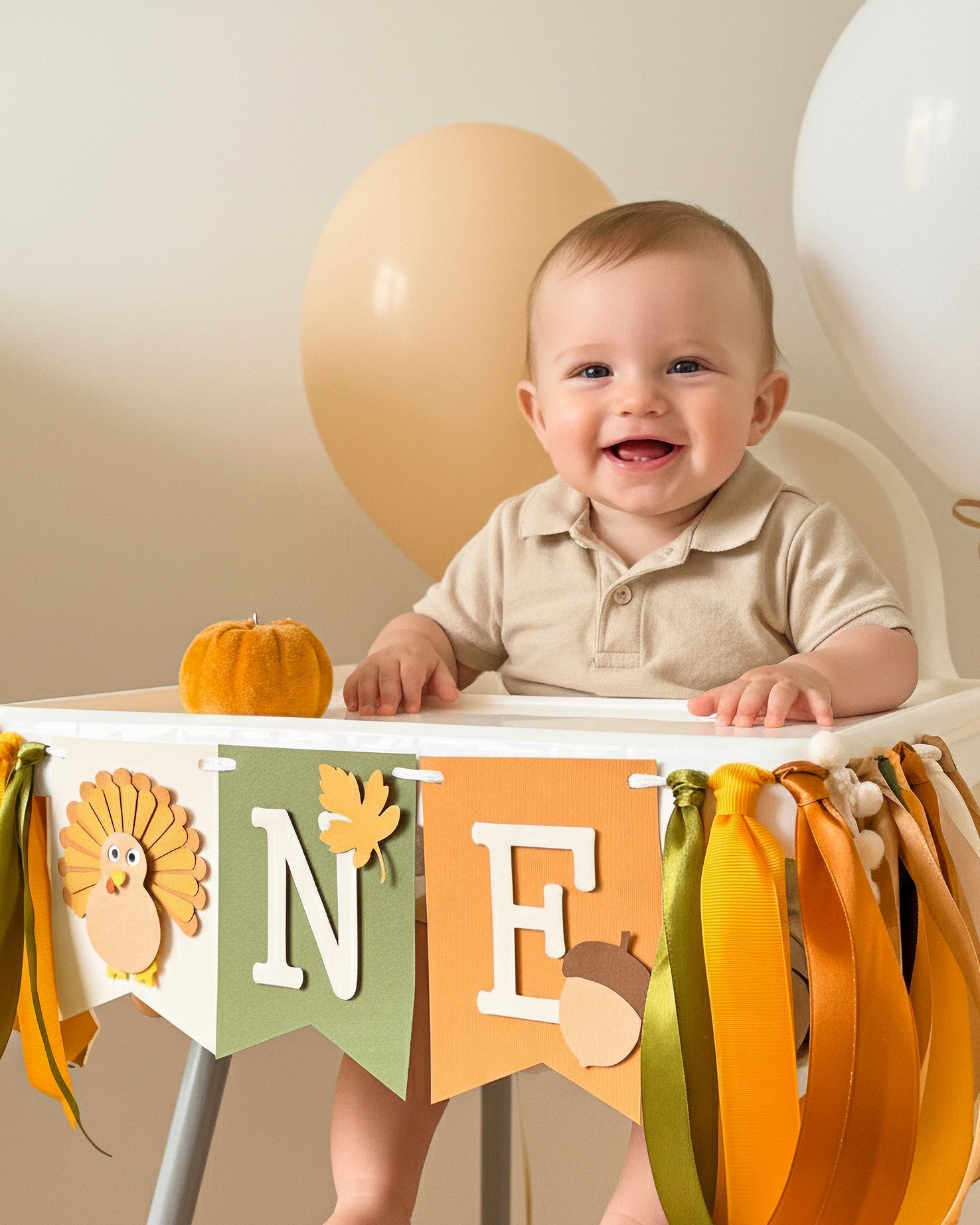 Turkey One Highchair Banner