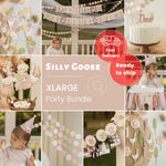 One Silly Goose Bundle Vintage Goose Birthday