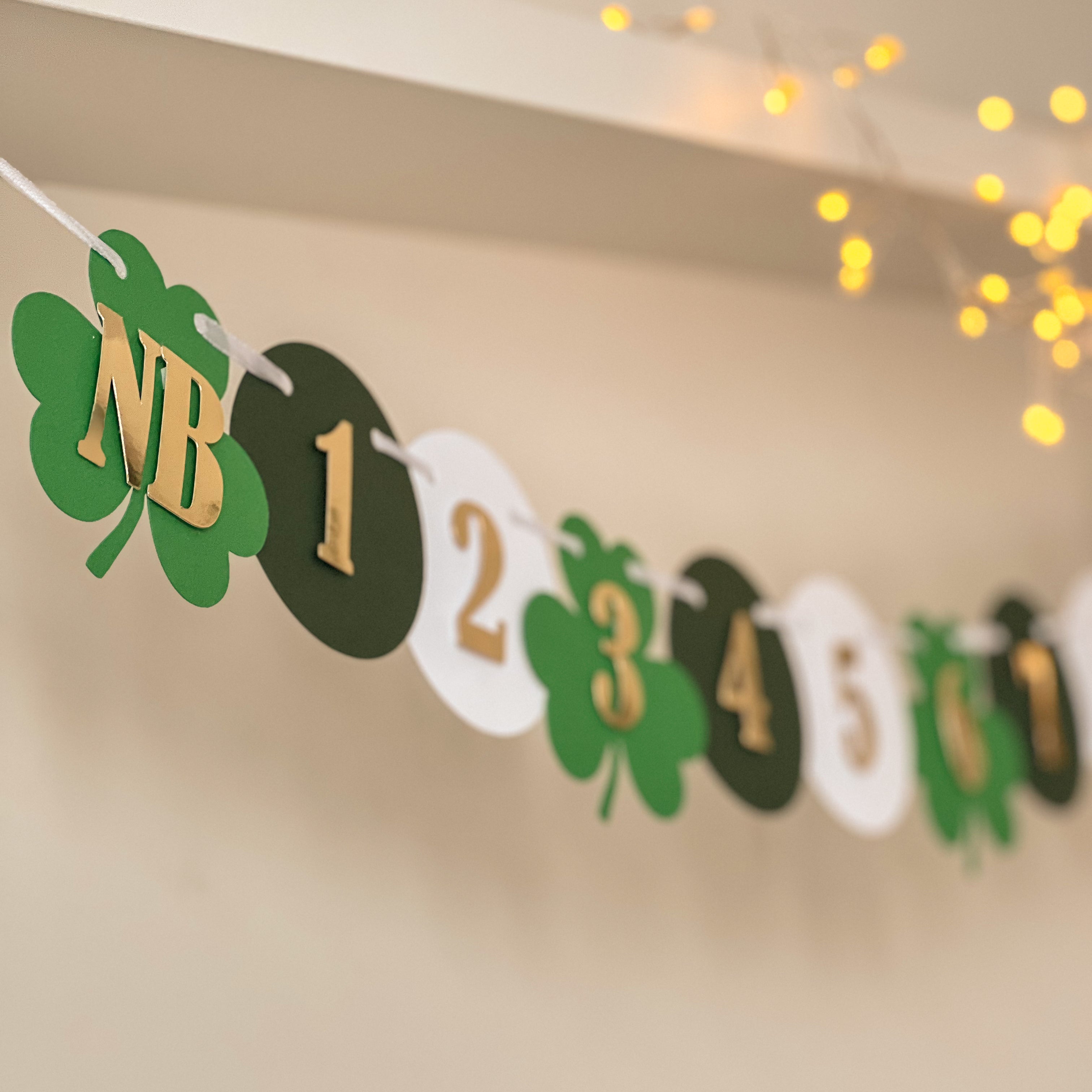 St Patrick's Day 12 Month Banner Lucky One 1st Birthday Our Little Shamrock party