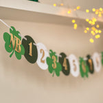 St Patrick's Day 12 Month Banner Lucky One 1st Birthday Our Little Shamrock party
