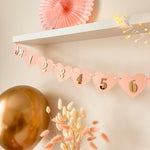 Blush Gold Monthly Banner, Girl 1st Birthday Garland
