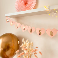 Blush Gold Monthly Banner, Girl 1st Birthday Garland