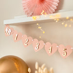 Blush Gold Monthly Banner, Girl 1st Birthday Garland