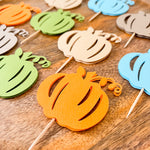 Autumn Boy Pumpkin Cupcake Toppers Fall Pumpkin Shower Pumpkin Theme