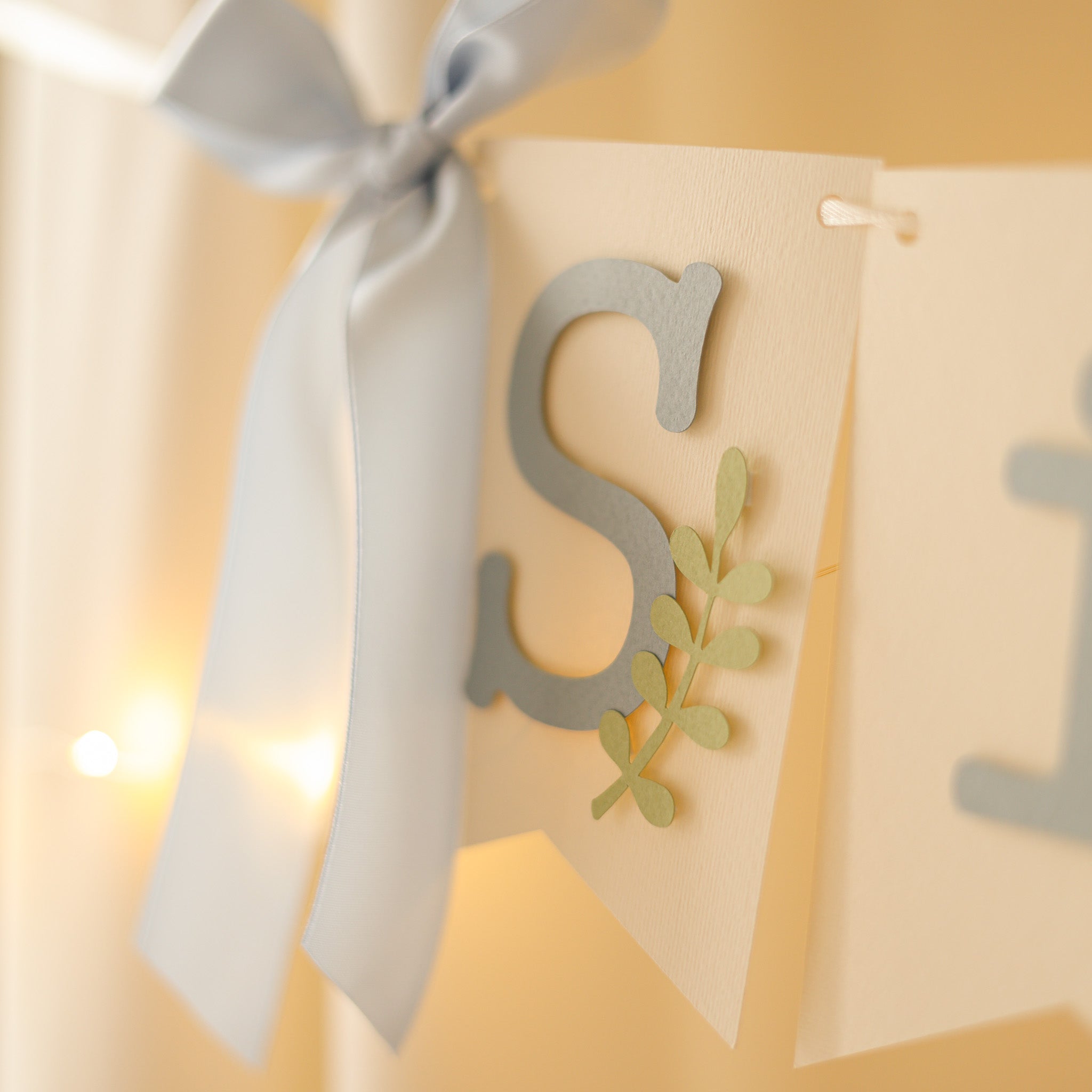 Silly Goose Banner Vintage Goose Baby Shower