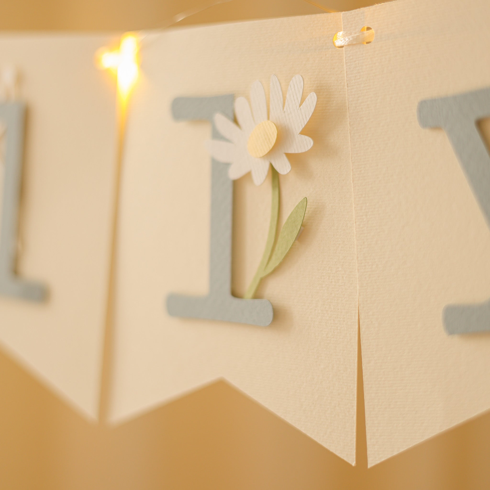 Silly Goose Banner Vintage Goose Baby Shower